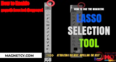 Mastering Magnetic Lasso: A Step-by-Step Guide for Precise Selections