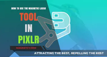 Mastering Pixlr's Magnetic Lasso Tool: A Step-by-Step Guide