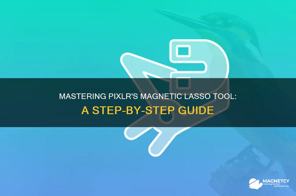 how to use the magnetic lasso tool in pixlr