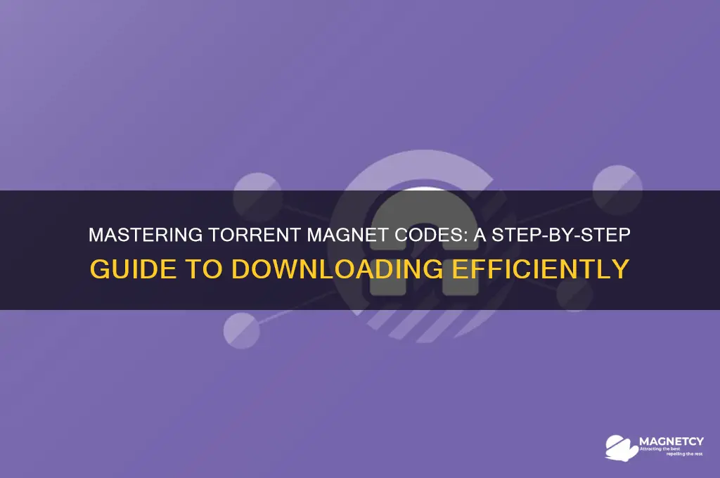 how to use torrent magnet code