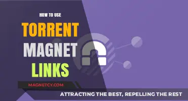 Mastering Torrent Magnet Links: A Step-by-Step Guide for Beginners