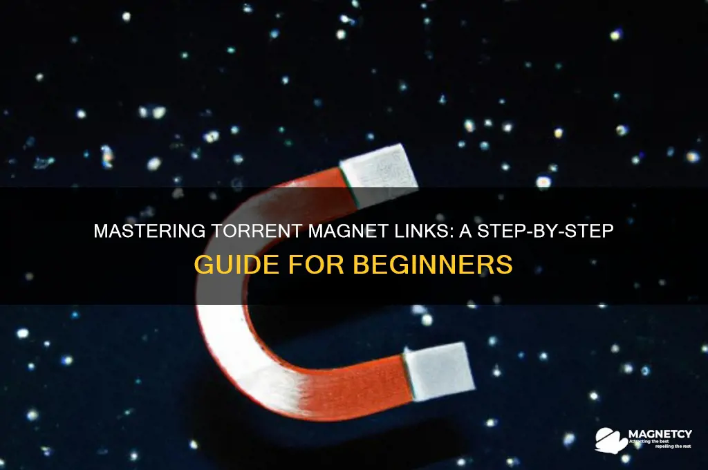 how to use torrent magnet links