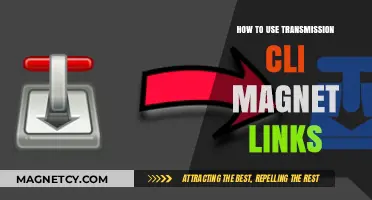 Mastering Transmission CLI: Efficiently Download Torrents Using Magnet Links