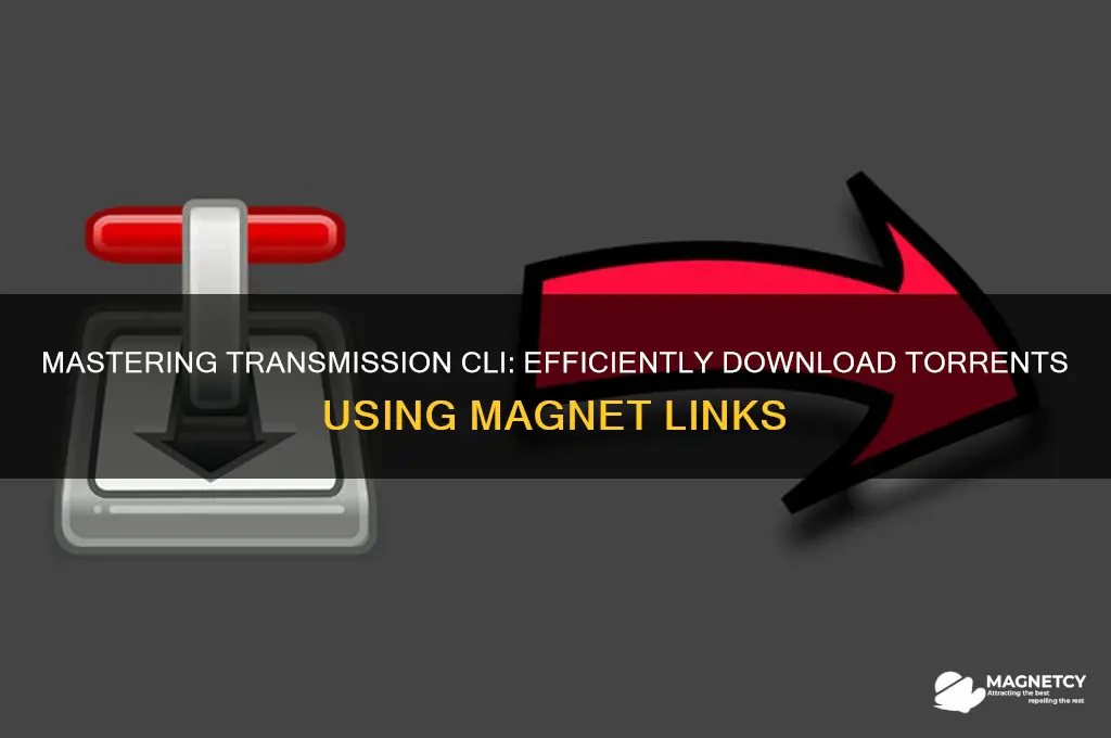 how to use transmission cli magnet links