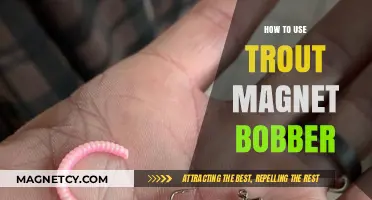 Mastering Trout Magnet Bobber: Essential Tips for Effective Fishing Success