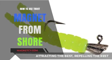 Master Shore Fishing with Trout Magnets: Tips and Techniques