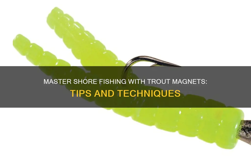 how to use trout magnet from shore