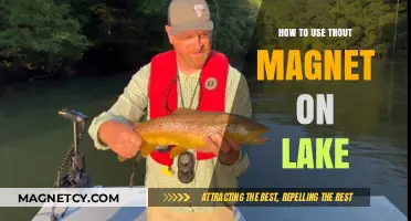 Mastering Trout Magnet Techniques for Successful Lake Fishing Adventures