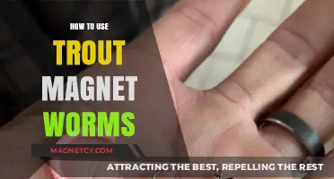 Mastering Trout Magnet Worms: Essential Tips for Effective Fishing Success