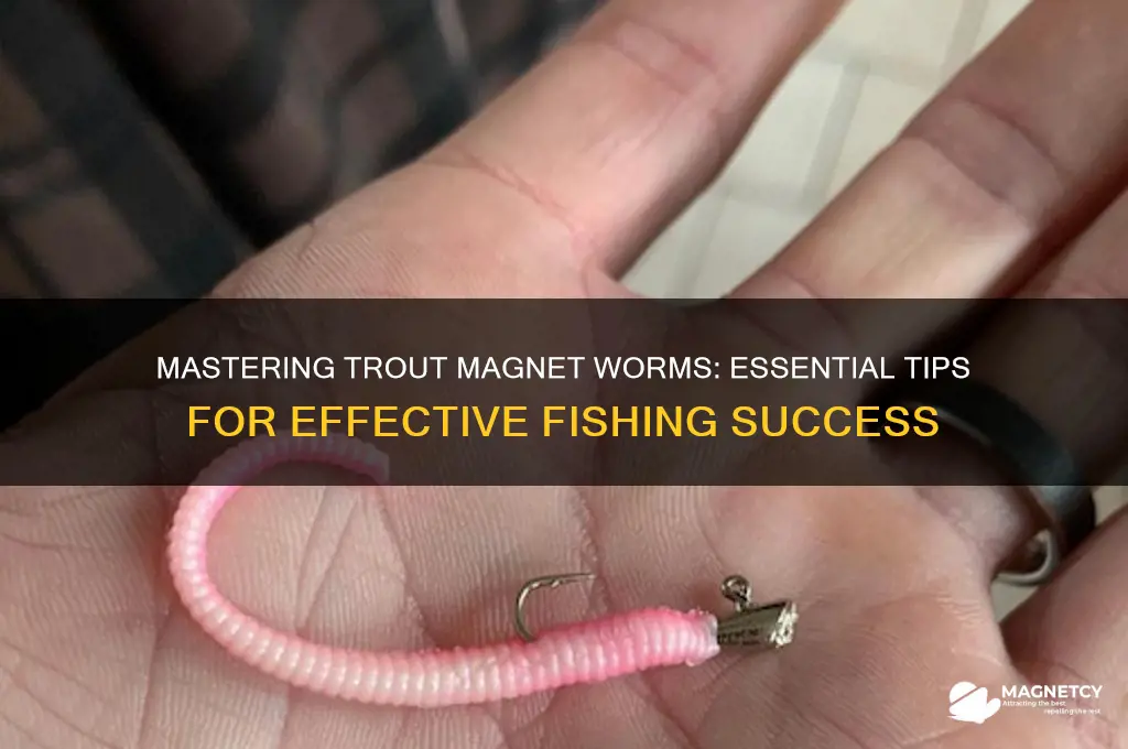 how to use trout magnet worms