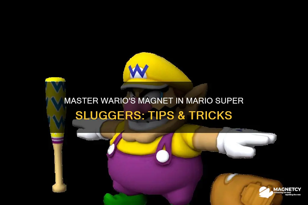 how to use wario