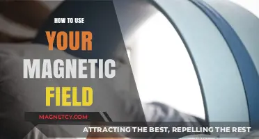 Harness Your Magnetic Field: Techniques for Energy, Healing, and Balance