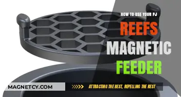 Mastering the PJ Reefs Magnetic Feeder: A Step-by-Step Guide