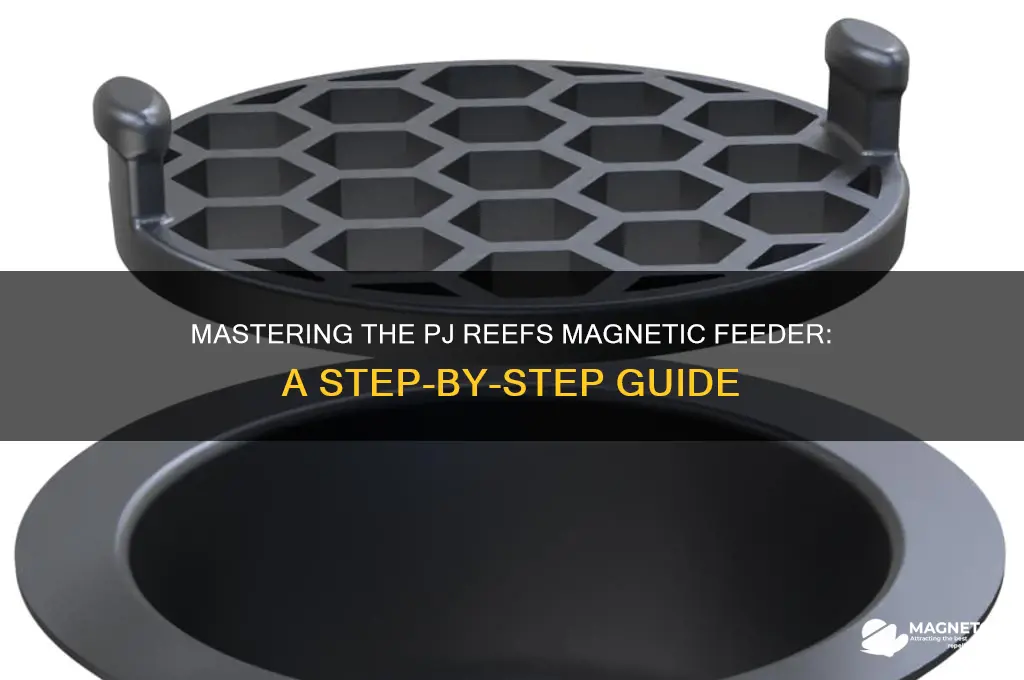 how to use your pj reefs magnetic feeder