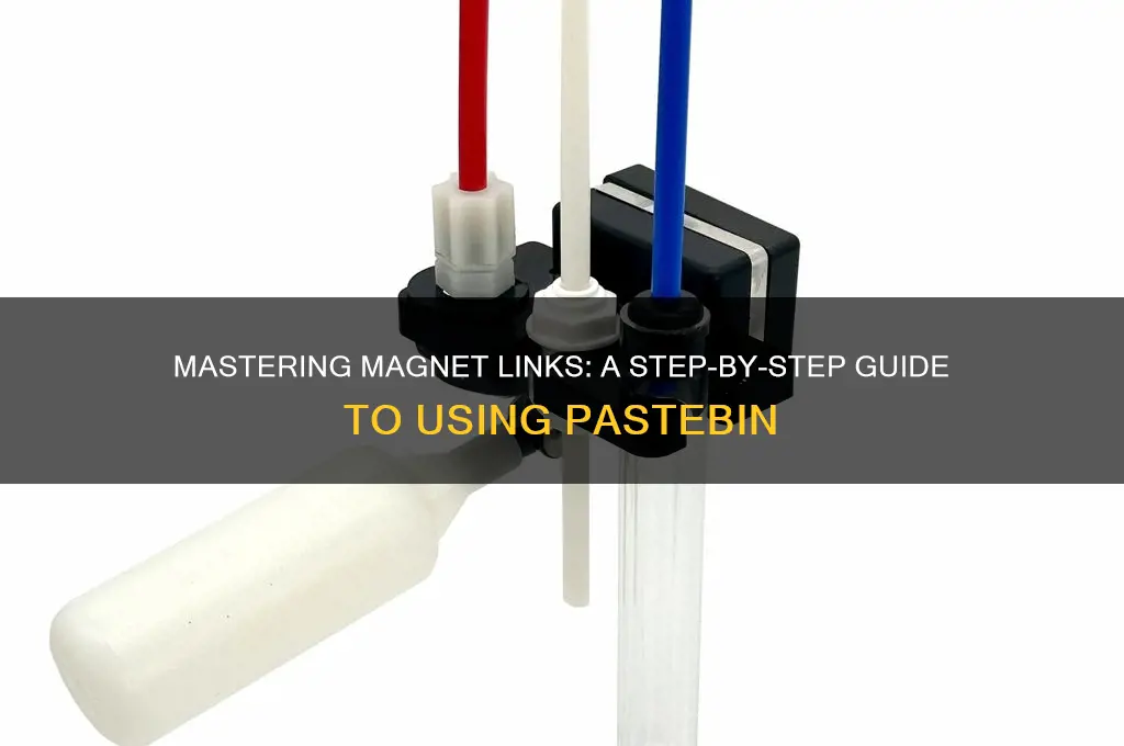 how to usea magnet link on pastebin