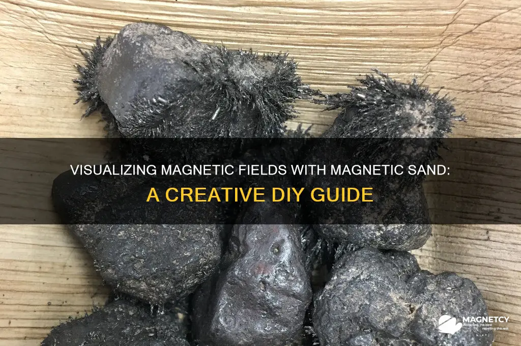 how to visualize magnetic fields using magnetic sand