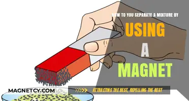 Magnetic Separation: A Simple Guide to Isolating Mixtures with Magnets