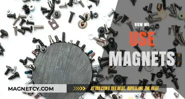 Exploring the Power of Magnets: Everyday Uses and Applications