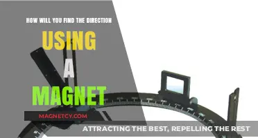 Navigate Nature: Using a Magnet to Find Your Direction Easily