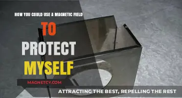 Harnessing Magnetic Fields for Personal Protection: Innovative Shielding Strategies