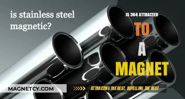 Is Stainless Steel 304 Magnetic? Unveiling the Truth About Attraction