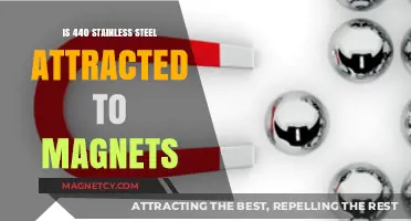 Is 440 Stainless Steel Magnetic? Unveiling the Truth About Attraction