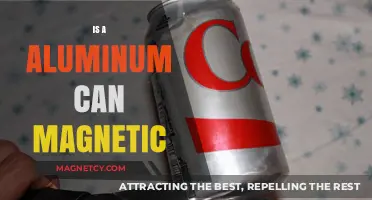 Is Aluminum Magnetic? Unveiling the Truth About Aluminum Cans