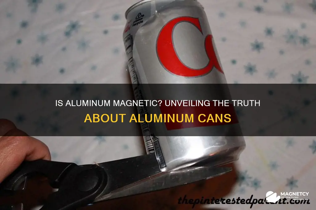 is a aluminum can magnetic