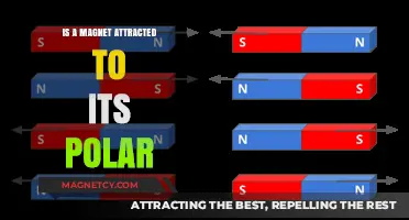 Magnetic Attraction: Do Opposites Really Attract in Polar Magnets?