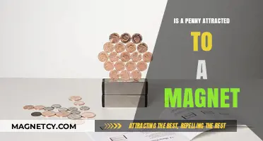 Is a Penny Magnetic? Uncovering the Truth About Copper and Magnets