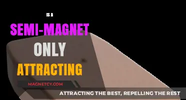 Semi-Magnets: Do They Only Attract or Have Hidden Powers?