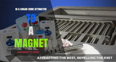 Is Sugar Magnetic? Testing if a Sugar Cube Attracts Magnets