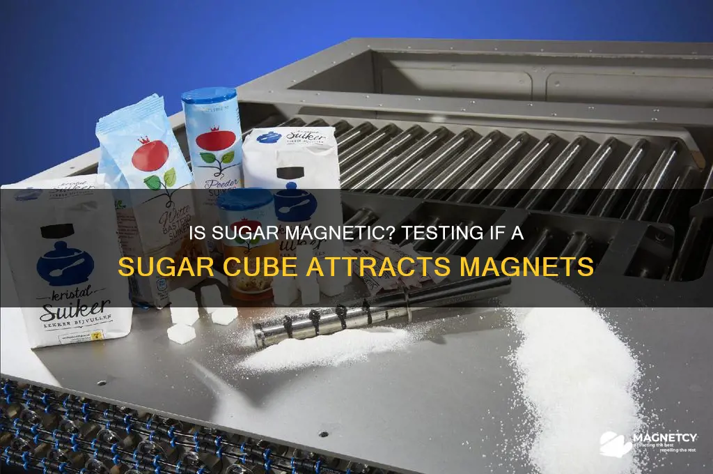 is a sugar cube attracted to a magnet