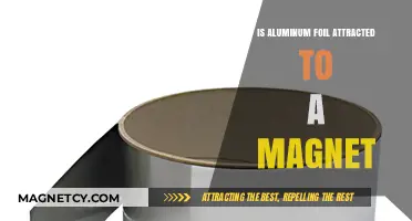Is Aluminum Foil Magnetic? Unveiling the Truth About Magnet Attraction