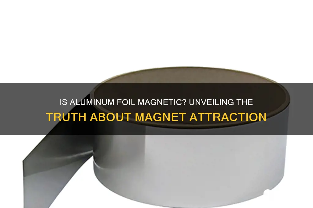 is aluminum foil attracted to a magnet