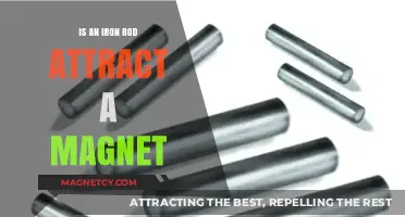 Does an Iron Rod Attract a Magnet? Exploring Magnetic Properties