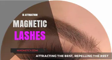 Are Magnetic Lashes the Secret to Effortless Lash Attraction?