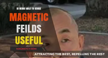 Magnetic Sense: Unlocking Hidden Benefits in Nature and Technology
