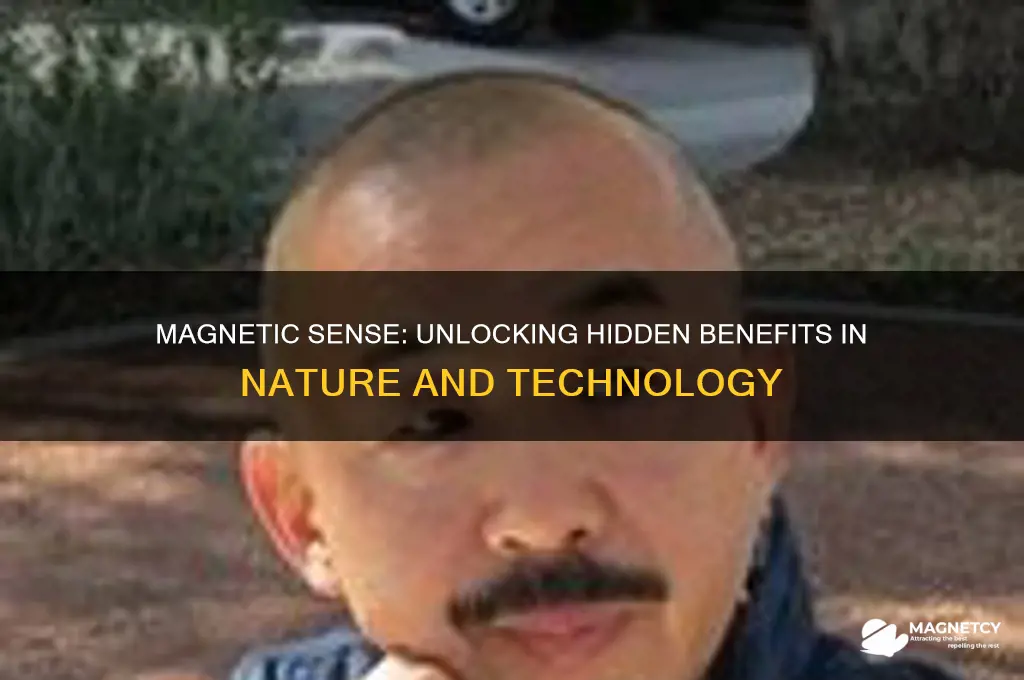 is being able to sense magnetic feilds useful