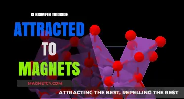 Is Bismuth Trioxide Magnetic? Exploring Its Attraction to Magnets