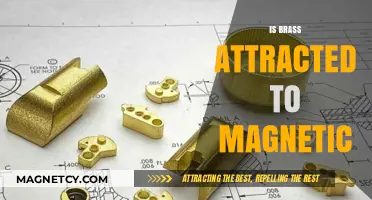 Is Brass Magnetic? Exploring Its Attraction to Magnets