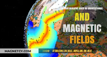 Cartography's Role in Mapping Gravitational and Magnetic Fields Explained