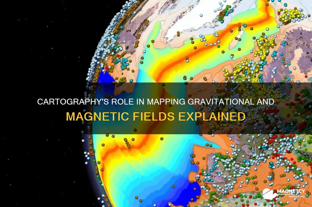 is cartography used in gravitational and magnetic fields