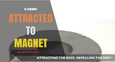 Ceramic and Magnets: Unraveling the Attraction Mystery