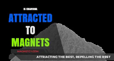Is Charcoal Magnetic? Exploring the Science Behind Magnetism and Charcoal