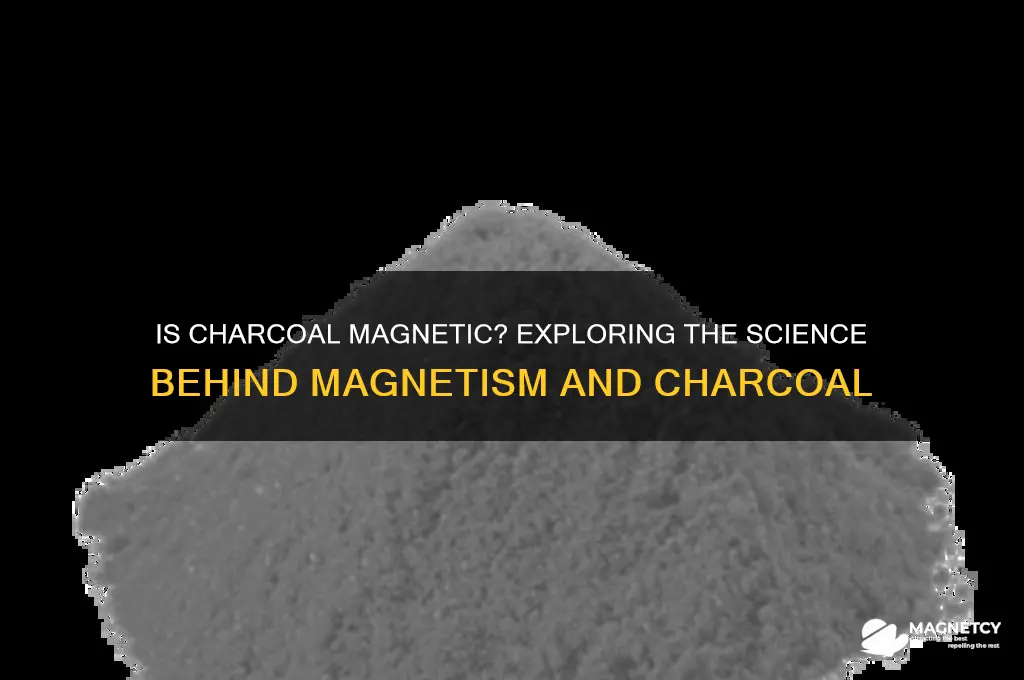 is charcoal attracted to magnets