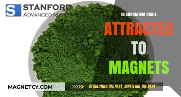 Chromium Oxide and Magnetism: Exploring Its Magnetic Attraction Properties