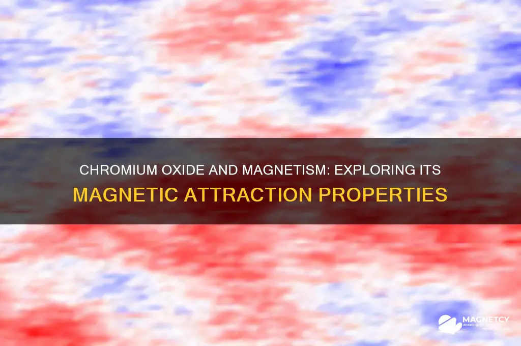 is chromium oxide attracted to magnets