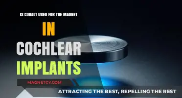 Cobalt's Role in Cochlear Implant Magnets: Fact or Fiction?