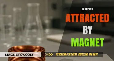 Is Copper Magnetic? Unveiling the Truth About Copper and Magnets
